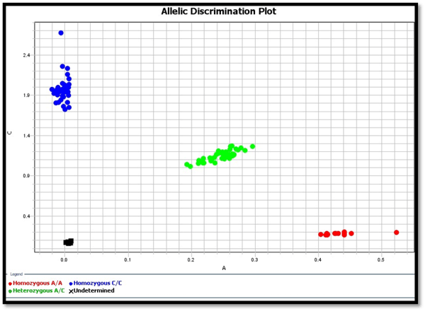 Graph: allelic discrimination plot