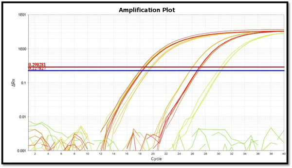 Graph: expression analysis of the PTGR1 gene in lung cancer samples and controls