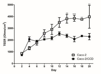 Graph showing Alvetex teer values are lower than caco 2 models 