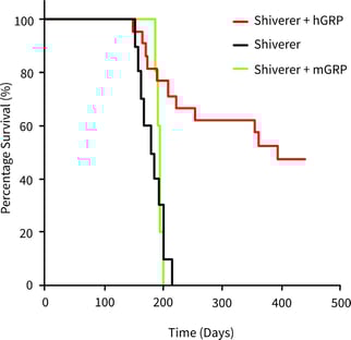 Graph showing how GRPs can increase myelination in disease model mice-1