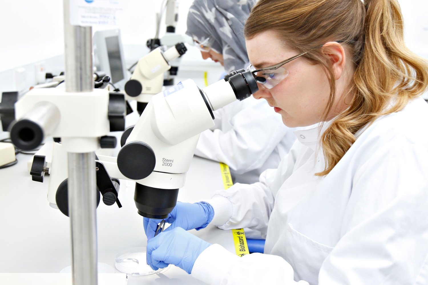 Human tissue pharmacology scientist in microscope lab