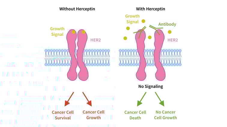 Five Benefits of Precision Medicine