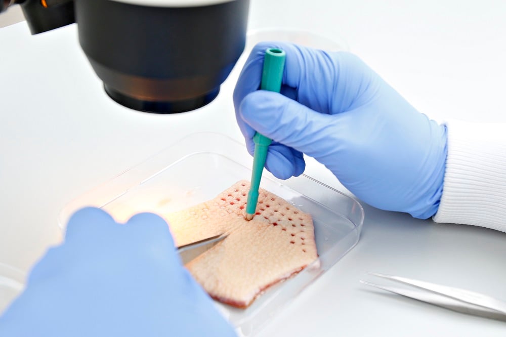 A scientist punching holes out of a sample of human skin 