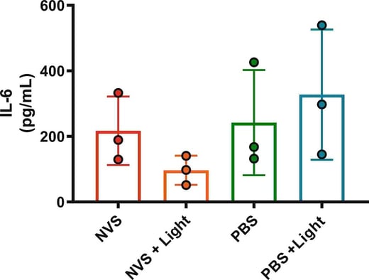 IL-6 levels in supernatants collected from cultured human isolated popliteal artery rings (n = 3) pre-treated with NVS, NVS light, PBS, or PBS light