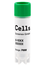 InSCREENeX cells vial no background