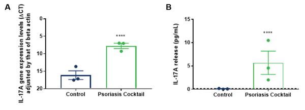 Induction of IL-17A Gene Expression and Secreation after 24hrs