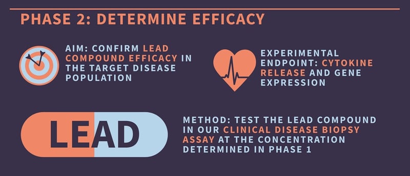 How to determine drug efficacy using human skin tissue