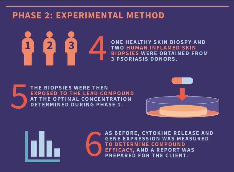 Methodology for determining drug efficacy using human skin tissue