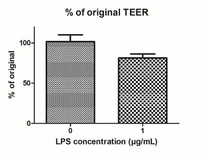 Introducing immune cells into alvetex intestinal epithelium model decreases TEER values