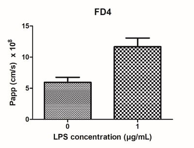 Introducing immune cells into alvetex intestinal epithelium model increases paracellular permeability