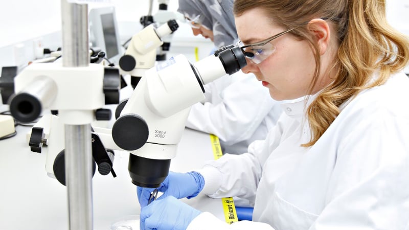 Lindsey and Amna  at microscopes