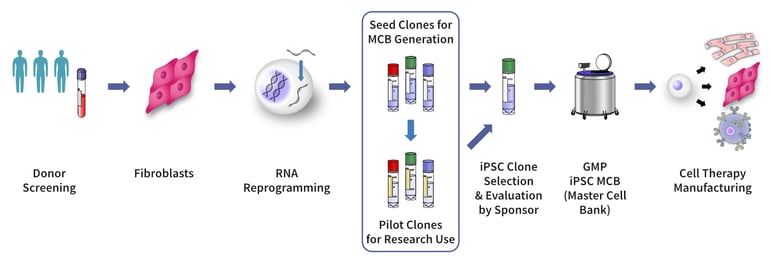 MCB overview pipeline 4