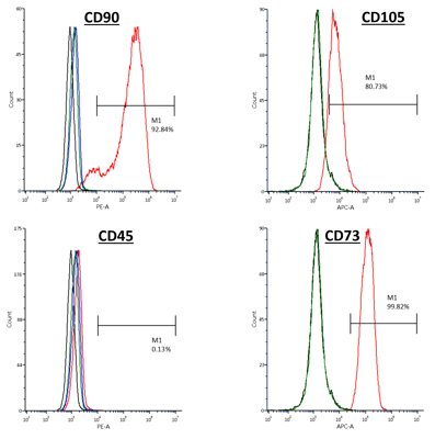 MSC - FCS graphs