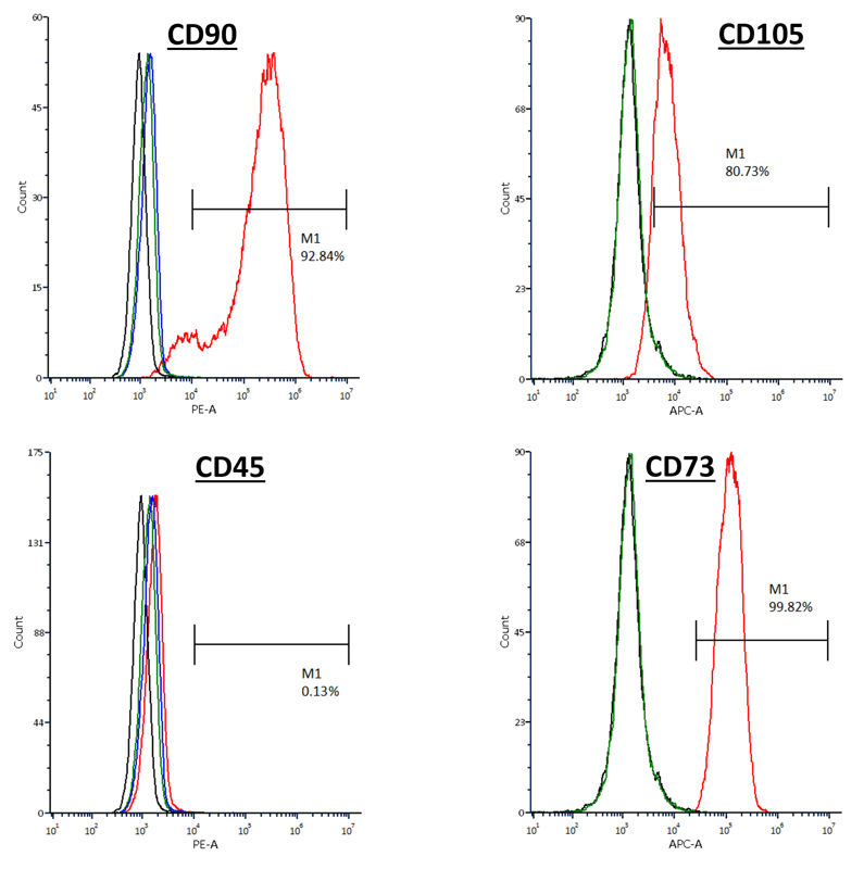 Stemolecule chir99021 by REPROCELL
