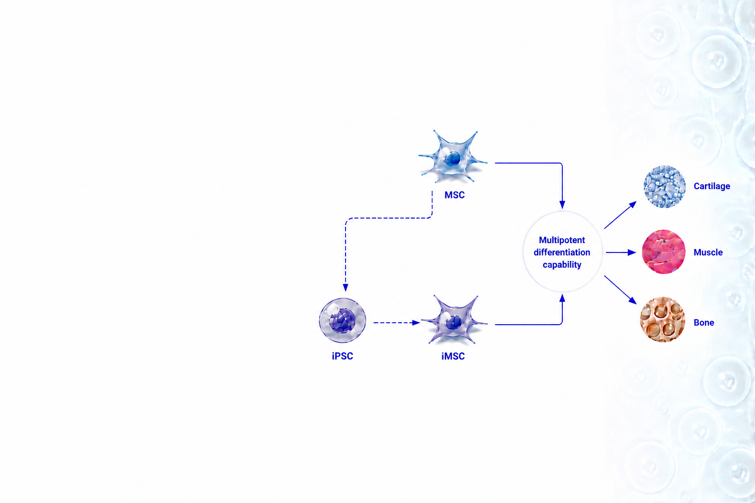 Bioinformatics Services Hero Image