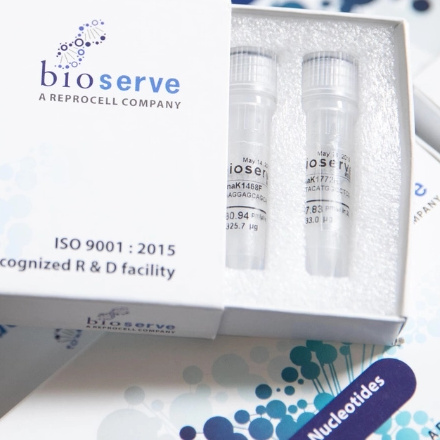 Oligonucleotide Synthesis Services
