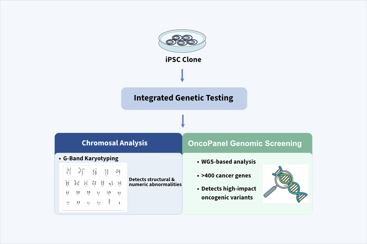 Oncopanel Figure Final