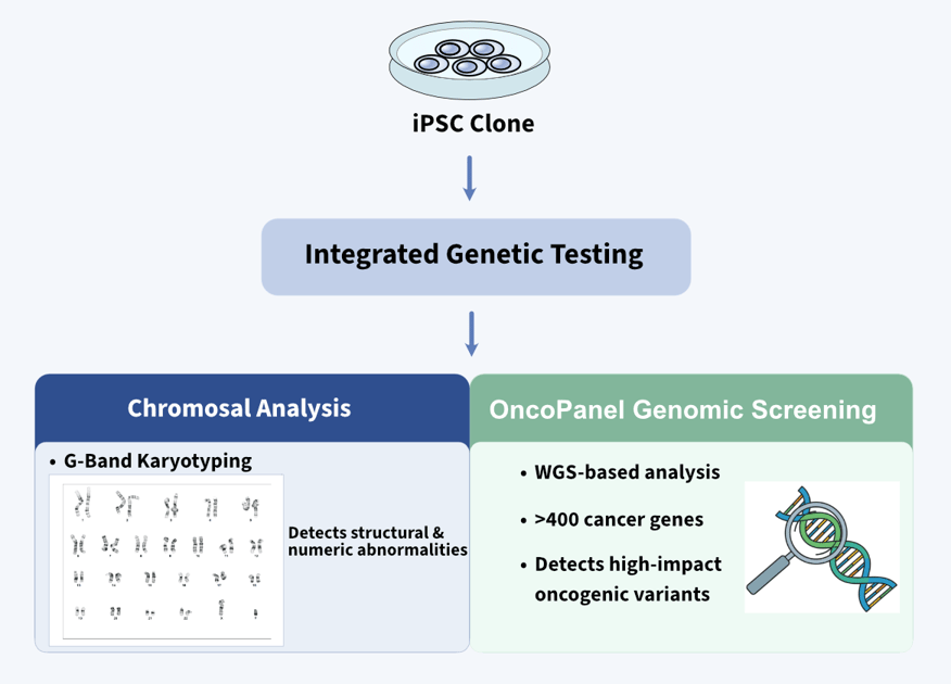 Oncopanel Figure Updated