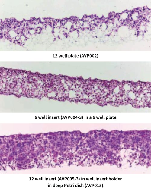 PR-ALVETEX-SCAFFOLD-D001_fig-03-1