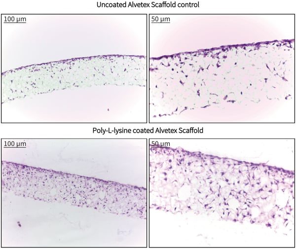 PR-ALVETEX-SCAFFOLD-D006_fig-01