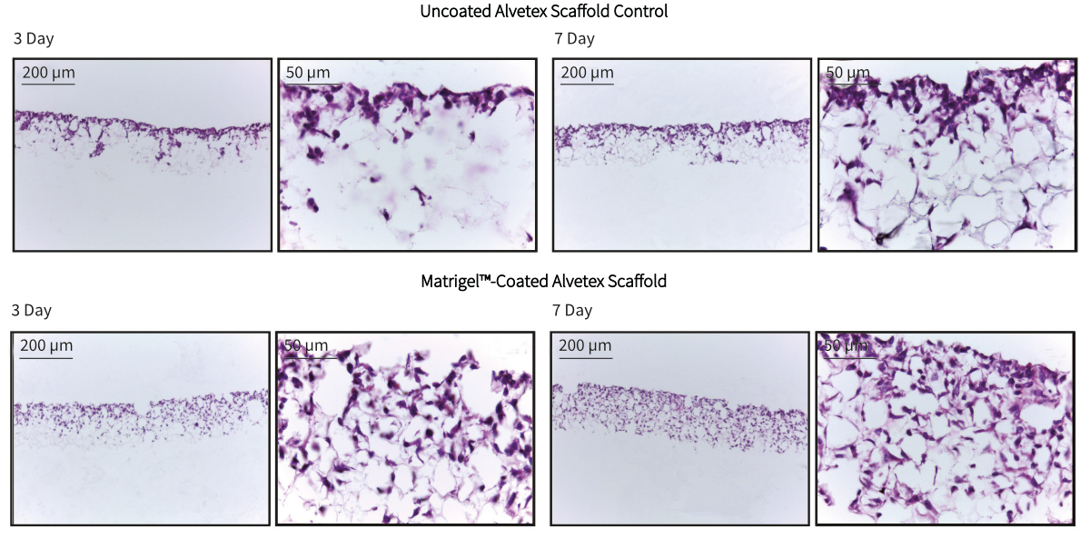 PR-ALVETEX-SCAFFOLD-D009_fig-01