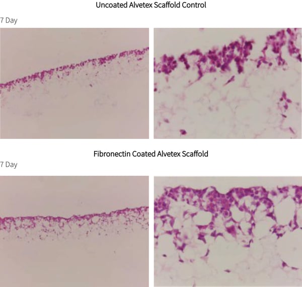 PR-ALVETEX-SCAFFOLD-D010_fig-01