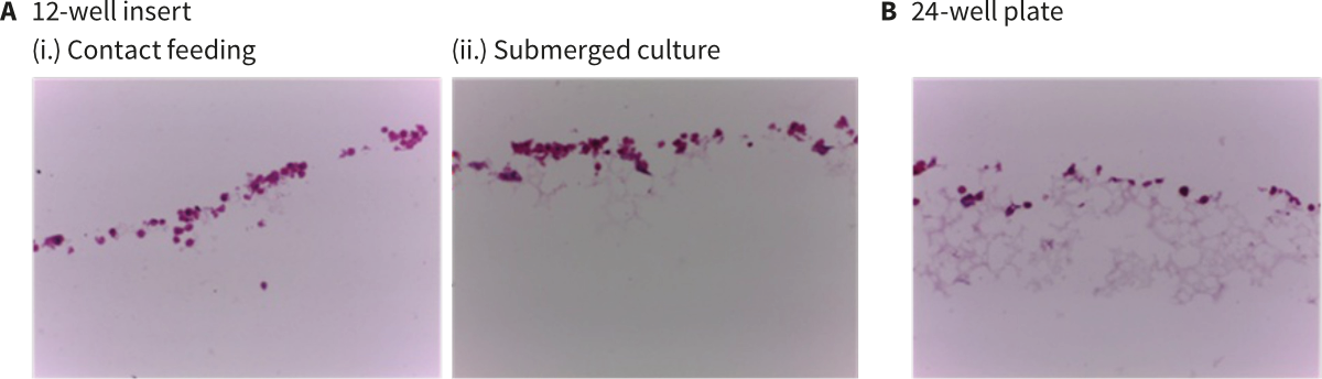 PR-ALVETEX-SCAFFOLD-D011_fig-01