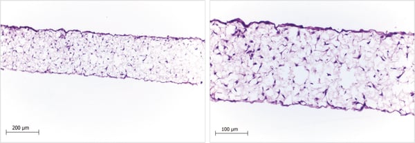 PR-ALVETEX-SCAFFOLD-D023_fig-02