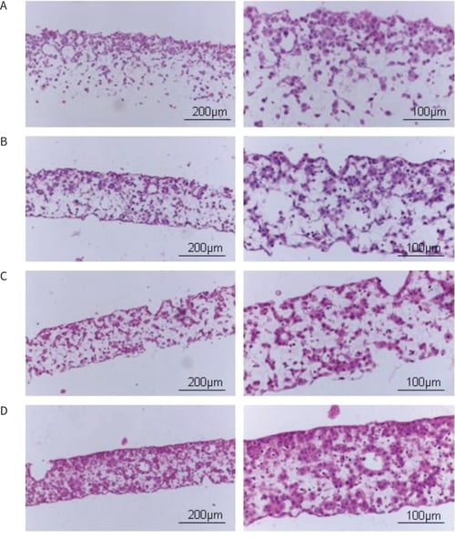 PR-ALVETEX-SCAFFOLD-D034_fig-02