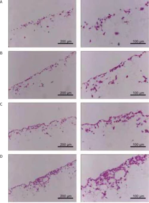 PR-ALVETEX-SCAFFOLD-D034_fig-04