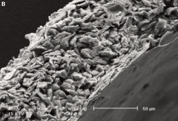 PR-ALVETEX-SCAFFOLD-D051_fig-01b