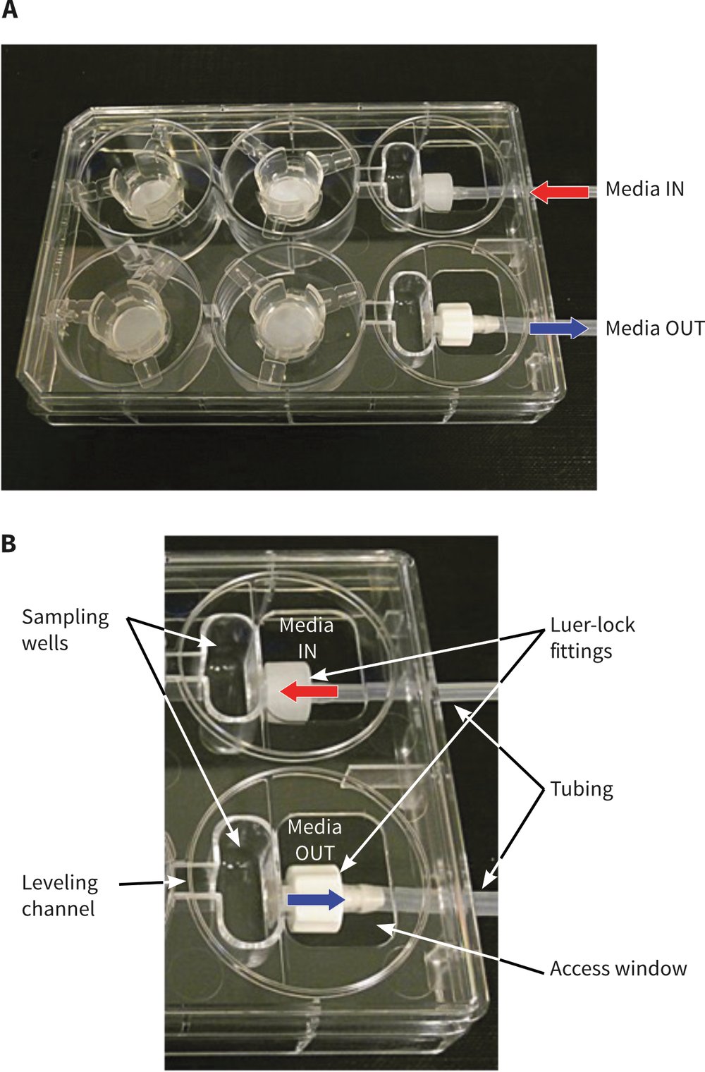 Alvetex Protocol 3D Perfused Cell Culture Alvetex Perfusion Plate