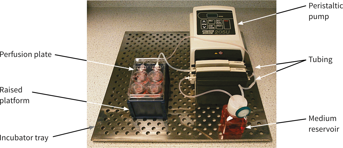 Alvetex Protocol 3D Perfused Cell Culture Alvetex Perfusion Plate