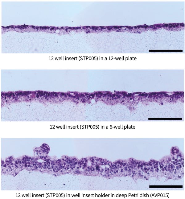 PR-ALVETEX-STRATA-D001_fig-04