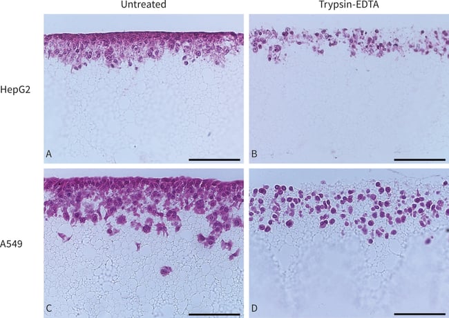 PR-ALVETEX-STRATA-D002_fig-03