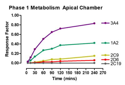 Phase 1 Metabolism Apical Ussing Chamber