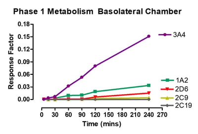 Phase 1 Metabolism Basolateral Ussing Chamber