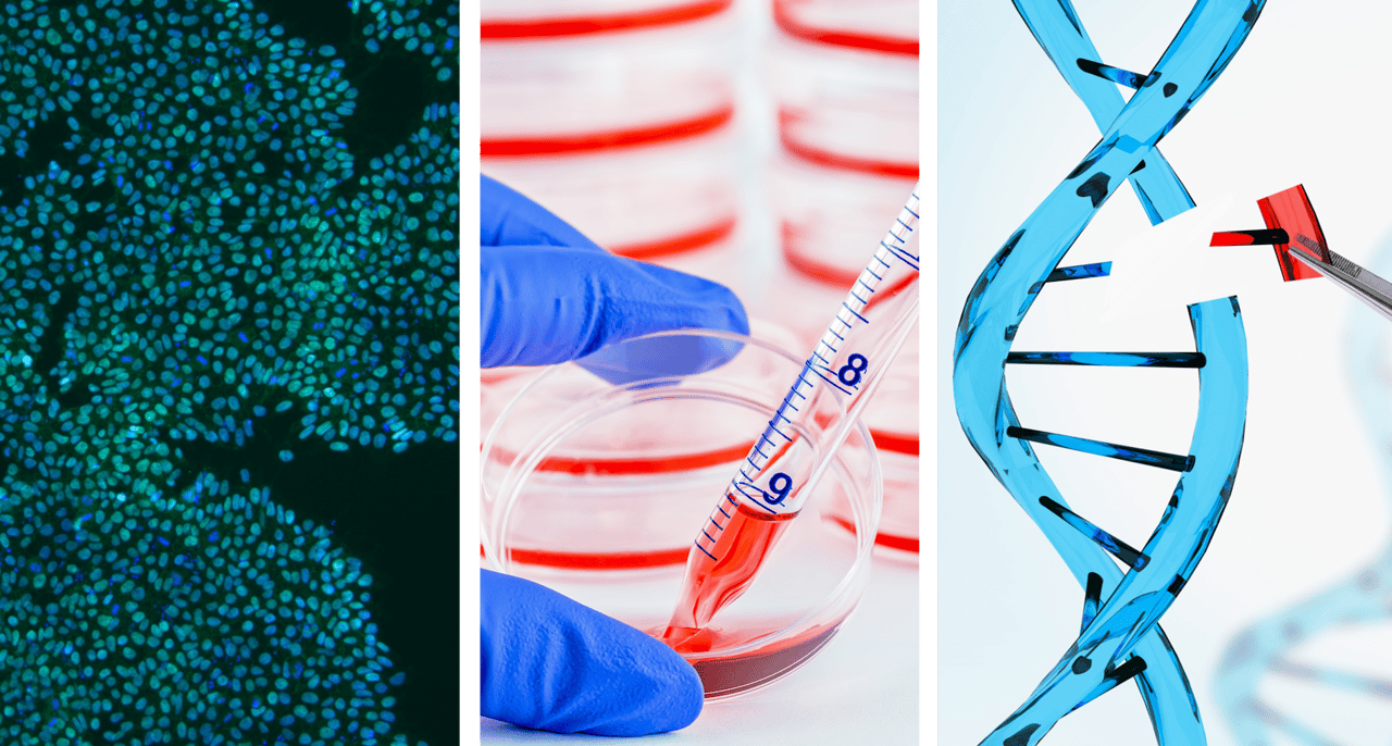 iPSC cells, a plate being pipetted and DNA being edited 