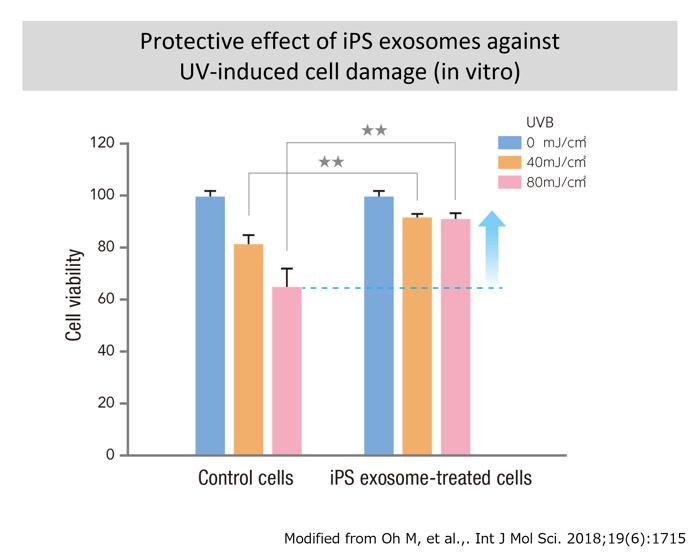 Protective effect of iPS exosomes against UV-induced cell damage (in vitro)-png
