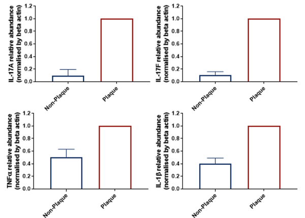 Psoriasis Patient Biopsies Characterisation by qRT-PCR