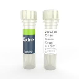 Recombinant human/ rat/ bovine/ porcine FGF-10 protein