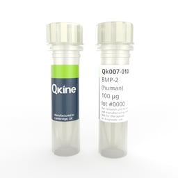 Recombinant human/ mouse/ rat/ bovine/ porcine BMP-2 protein