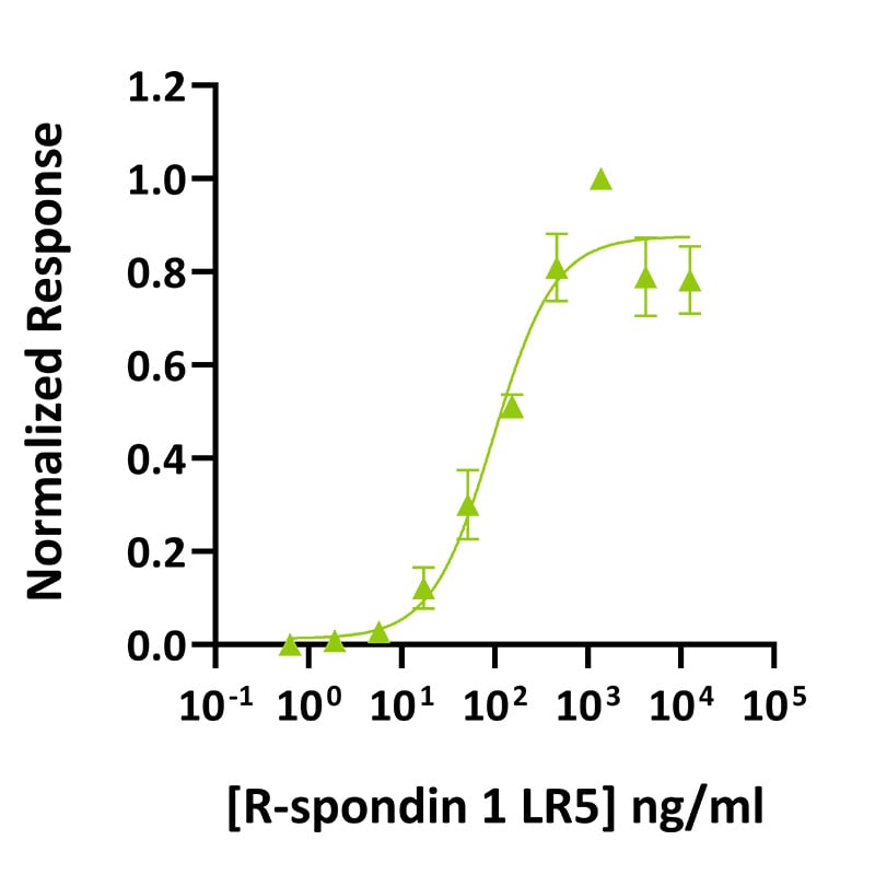 Qk031vDatasheet-graph_-Qkine-protein