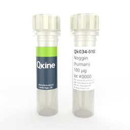 Recombinant human noggin protein