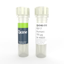 Recombinant human KGF (FGF-7) protein