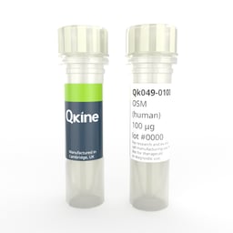 Recombinant human OSM protein