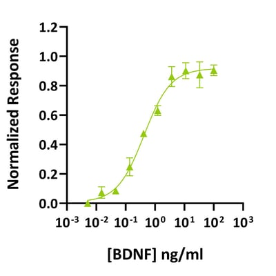 Qk050-BDNF-Bioactivity