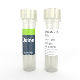 Recombinant human Shh protein