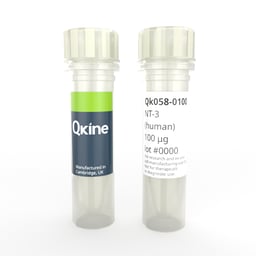 Recombinant human NT-3 protein