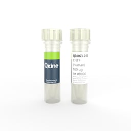 Recombinant human CNTF protein